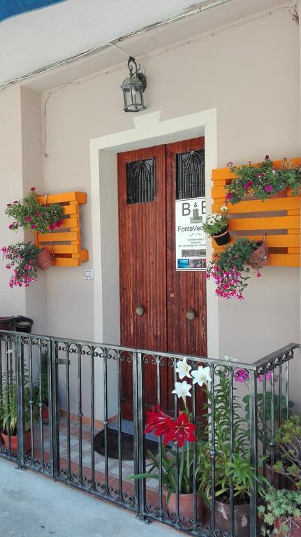 Fontevecchia